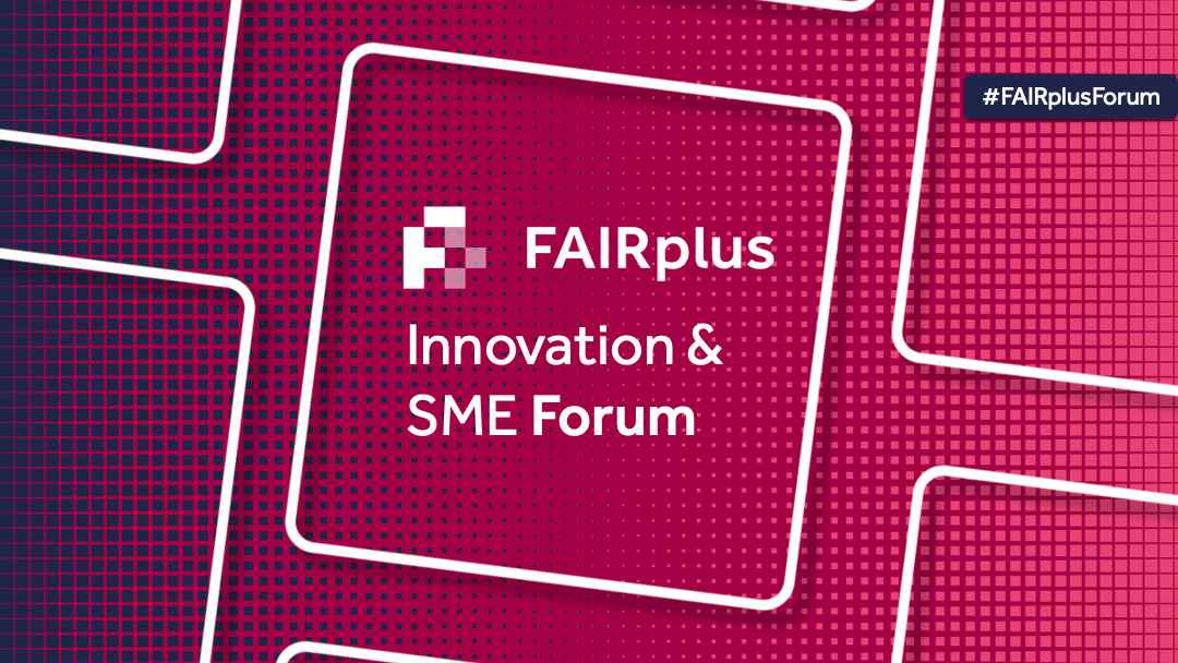 FAIRplus SME event intro and break slide